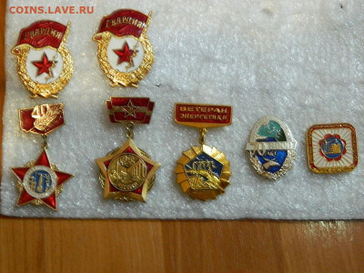 4 - DSCN0378.JPG