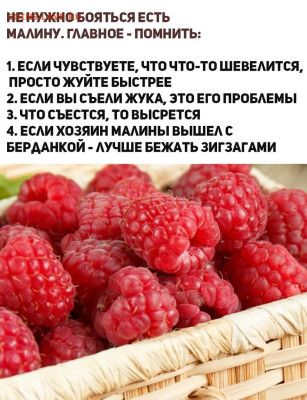 юмор - B4yG1Jzf_Qk