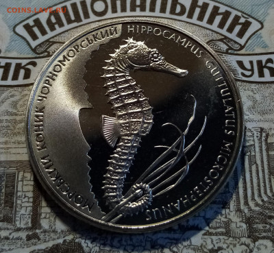 УКРАИНА 2 гр 2003 Морской конек до 7.06 - конек1