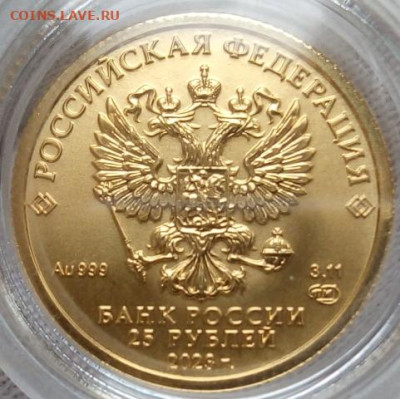 25 Рублей 2023 Победоносец 3,11 гр 999пр (1) до 06.06.23 - IMG_20230604_154615