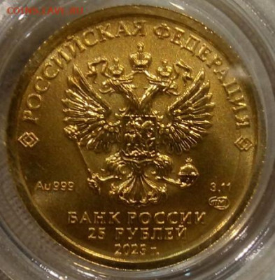25 Рублей 2023 Победоносец 3,11 гр 999пр (3) до 06.06.23 - IMG_20230604_233655