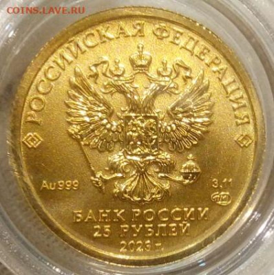 25 Рублей 2023 Победоносец 3,11 гр 999пр (3) до 06.06.23 - IMG_20230604_233621