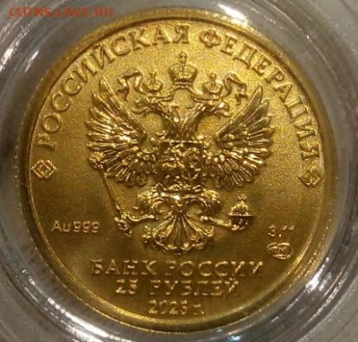 25 Рублей 2023 Победоносец 3,11 гр 999пр (4) до 06.06.23 - IMG_20230604_234034