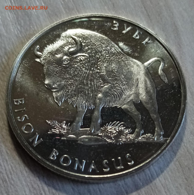 УКРАИНА 2 гр 2003 г Зубр до 7.06 - я1