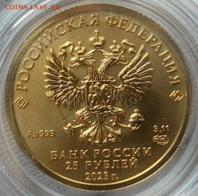 25 Рублей 2023 Победоносец 3,11 гр 999пр (3) до 06.06.23 - IMG_20230605_134001