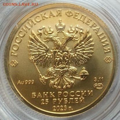 25 Рублей 2023 Победоносец 3,11 гр 999пр (3) до 06.06.23 - IMG_20230605_134014