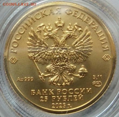 25 Рублей 2023 Победоносец 3,11 гр 999пр (4) до 06.06.23 - IMG_20230605_133539