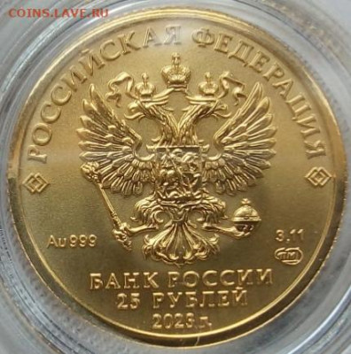 25 Рублей 2023 Победоносец 3,11 гр 999пр (4) до 06.06.23 - IMG_20230605_133554