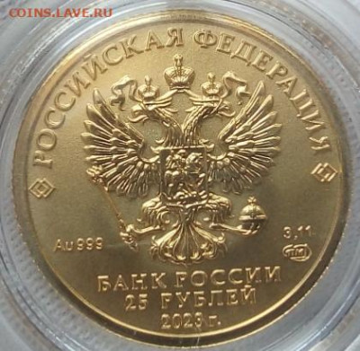 25 Рублей 2023 Победоносец 3,11 гр 999пр (4) до 06.06.23 - IMG_20230605_133658
