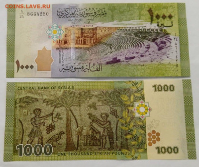 Сирия 1000 фунтов 2013 год UNC - Сирия 1000 2013