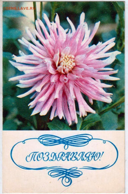 ОТКРЫТКА ПОЗДРАВЛЯЮ! 1974 г. до 12.06.23 г. в 23.00 - 012