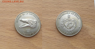 Иностранные монеты на разный материал - kuba_1_peso_1985_prirodnyj_zapovednik_kubinskij_krokodil_golova_fauna_zhivotnye