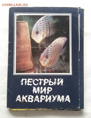 Открытки 42 шт. + фото - фотооткрытки-1982_Пестрый-мир-аквариума_к25шт