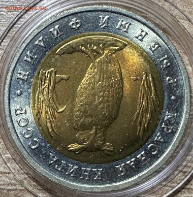 5 рублей 1991  Рыбный филин. UNC  Красная книга. 12.06. БЛИЦ - image-10-06-23-08-43-2