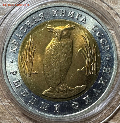 5 рублей 1991  Рыбный филин. UNC  Красная книга. 12.06. БЛИЦ - image-10-06-23-08-43-3