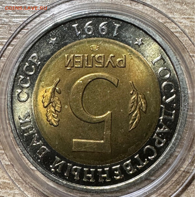 5 рублей 1991 Винторогий козел.UNC Красная книга. 2.06. БЛИЦ - image-10-06-23-08-58