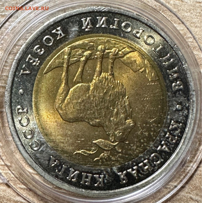 5 рублей 1991 Винторогий козел.UNC Красная книга. 2.06. БЛИЦ - image-10-06-23-08-58-2