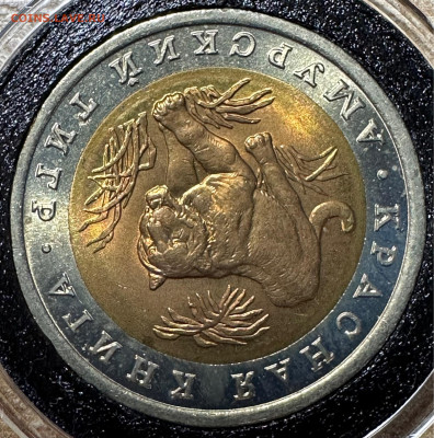 10 рублей 1992 Амурский тигр  UNC Красная книга. 12.06. БЛИЦ - image-10-06-23-09-17-1