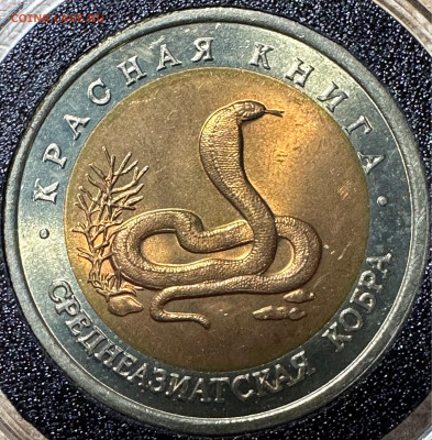 10 рублей 1992 Кобра. UNC Красная книга. 12.06. БЛИЦ - image-10-06-23-09-27-3