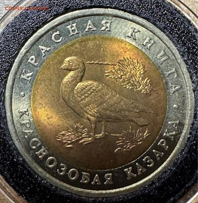 10 рублей 1992 Казарка  UNC Красная книга. 12.06. БЛИЦ - image-10-06-23-09-36-2