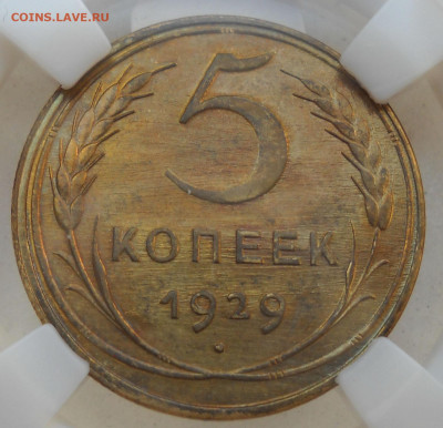 5 копеек 1929 г. Капсула ННР. До 18.06.23   22.00 мск. - 156