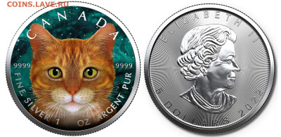 Кошки на монетах - 555