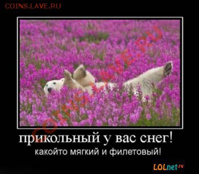 юмор - 904e3d7c7cc0