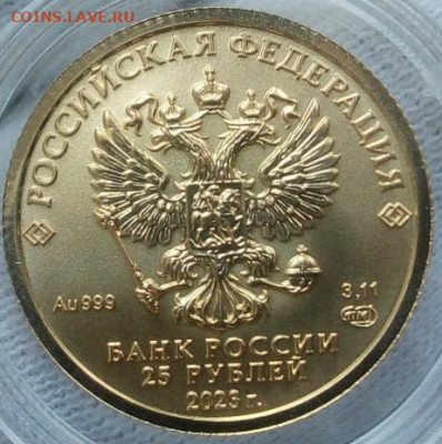 25 Рублей 2023 Победоносец UNC 3,11 гр 999пр до 23.06.23 - IMG_20230621_192610