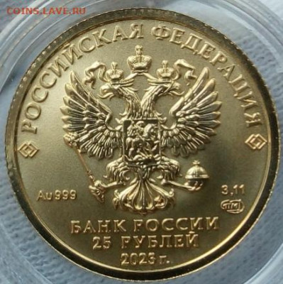 25 Рублей 2023 Победоносец UNC 3,11 гр 999пр до 23.06.23 - IMG_20230621_192512
