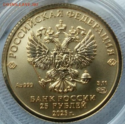 25 Рублей 2023 Победоносец UNC 3,11 гр 999пр до 23.06.23 - IMG_20230621_192542