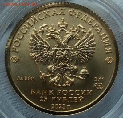25 Рублей 2023 Победоносец UNC 3,11 гр 999пр до 23.06.23 - IMG_20230621_192557