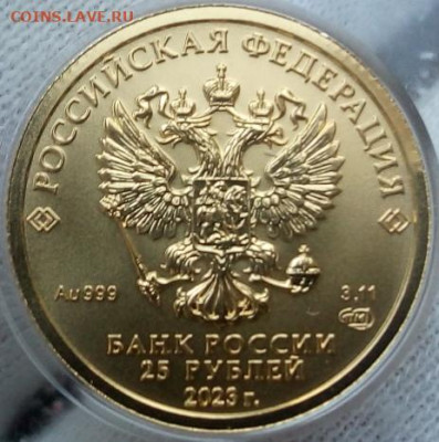 25 Рублей 2023 Победоносец UNC 3,11 гр 999пр (1) до 23.06.23 - IMG_20230621_192343