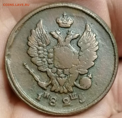 2 копейки 1825 ем иш Нечастая сухая до 24.06.2023 в 22.00 - 287099593.0