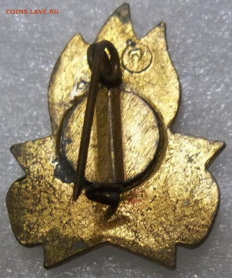 ПИОНЕРСКИЙ ЗНАК обр. 1945 г 29.06.23. 22:00 МСК - 100_6558.JPG