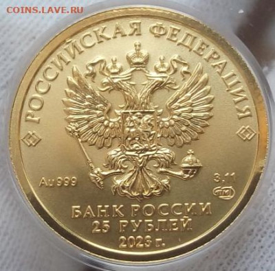 25 Рублей 2023 Победоносец 3,11 гр 999пр UNC до 28.06.23 - IMG_20230627_160326