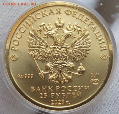 25 Рублей 2023 Победоносец 3,11 гр 999пр UNC до 28.06.23 - IMG_20230627_155445