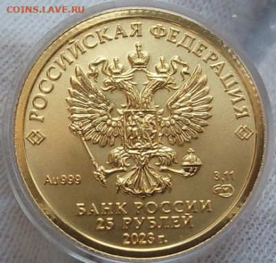 25 Рублей 2023 Победоносец 3,11 гр 999пр UNC до 28.06.23 - IMG_20230627_160415
