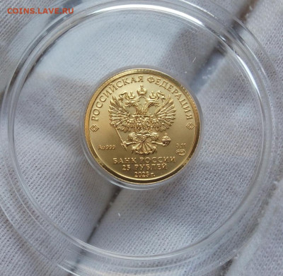25 Рублей 2023 Победоносец 3,11 гр 999пр UNC до 28.06.23 - IMG_20230627_160403