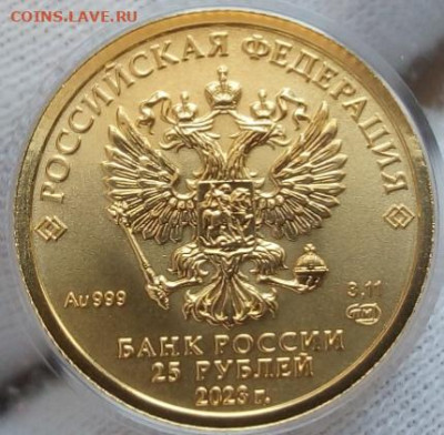 25 Рублей 2023 Победоносец 3,11 гр 999пр (1) UNC до 28.06.23 - IMG_20230627_155130