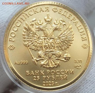 25 Рублей 2023 Победоносец 3,11 гр 999пр (1) UNC до 28.06.23 - IMG_20230627_155203