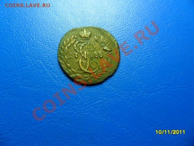 полушка 1788км(редкая) до 24.12.11 в 22-00 мск - SAM_5621.JPG