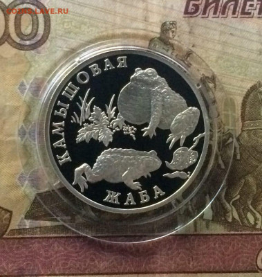 1 рубль 2004 года Жаба Пруф Красная книга до 02.07 - 33