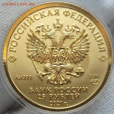 25 Рублей 2023 Победоносец 3,11 гр 999пр UNC (1) до 02.07.23 - IMG_20230701_115113