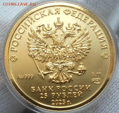 25 Рублей 2023 Победоносец 3,11 гр 999пр (1) до 02.07.23 - IMG_20230701_114803