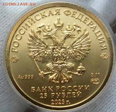 25 Рублей 2023 Победоносец 3,11 гр 999пр (1) до 02.07.23 - IMG_20230701_114732