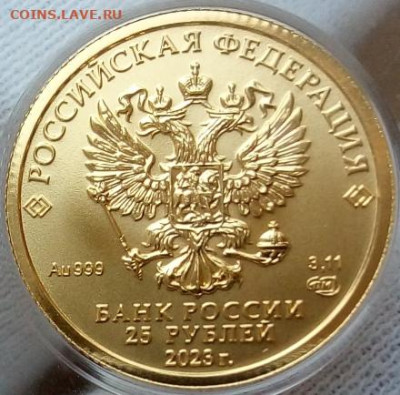 25 Рублей 2023 Победоносец 3,11 гр 999пр (5) до 02.07.23 - IMG_20230701_171902