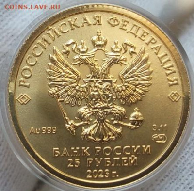 25 Рублей 2023 Победоносец 3,11 гр 999пр (4) до 02.07.23 - IMG_20230701_172313