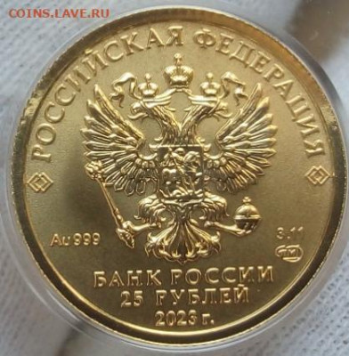 25 Рублей 2023 Победоносец 3,11 гр 999пр (4) до 02.07.23 - IMG_20230701_172246