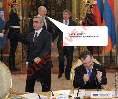 Политический конкурс. - кошки.JPG