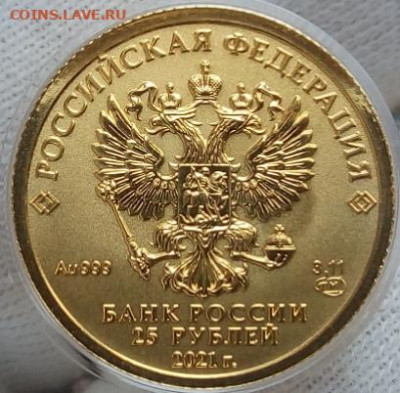 25 Рублей 2021 Победоносец 3,11 гр 999пр (2) до 06.07.23 - IMG_20230705_160731
